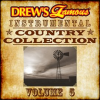 Drew_s_Famous_Instrumental_Country_Collection__Vol__5