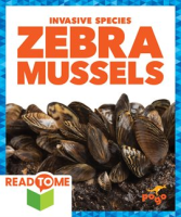 Zebra_Mussels