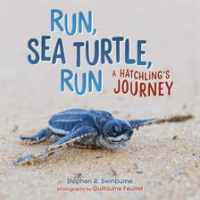 Run__sea_turtle__run