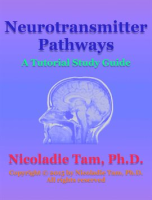Neurotransmitter_Pathways__A_Tutorial_Study_Guide