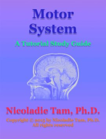Motor_System__A_Tutorial_Study_Guide