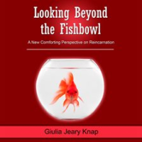 Looking_Beyond_the_Fishbowl