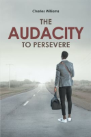The_Audacity_To_Persevere