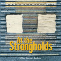 At_The_Strongholds