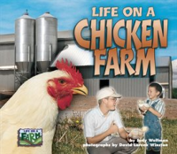 Life_on_a_Chicken_Farm
