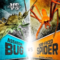 Assassin_Bug_vs__Ogre-Faced_Spider