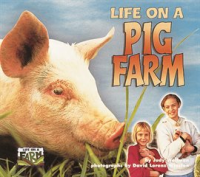 Life_on_a_Pig_Farm