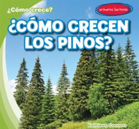 __C__mo_crecen_los_pinos___How_Do_Pine_Trees_Grow__