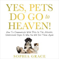 Yes__Pets_Do_Go_to_Heaven_