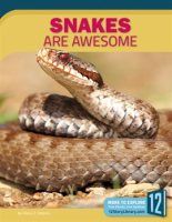 Snakes_Are_Awesome