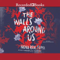 The_Walls_Around_Us