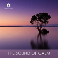 The_Sound_Of_Calm