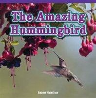 The_Amazing_Hummingbird