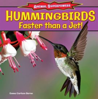 Hummingbirds__Faster_Than_a_Jet_