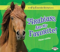 Arabians_Are_My_Favorite_