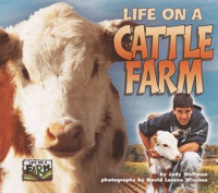 Life_on_a_Cattle_Farm