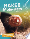 Naked_mole-rats