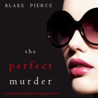 The_Perfect_Murder