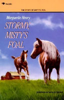 Stormy__Misty_s_foal