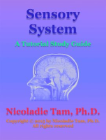 Sensory_System__A_Tutorial_Study_Guide