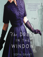 The_dress_in_the_window
