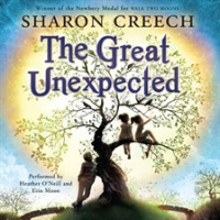 The_great_unexpected