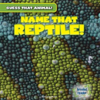 Name_That_Reptile_