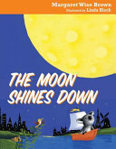 The_moon_shines_down