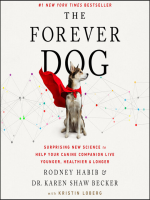 The_forever_dog