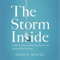 The_storm_inside__trade_the_chaos_of_how_you_feel_for_the_truth_of_who_you_are