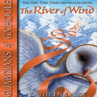 The_river_of_wind